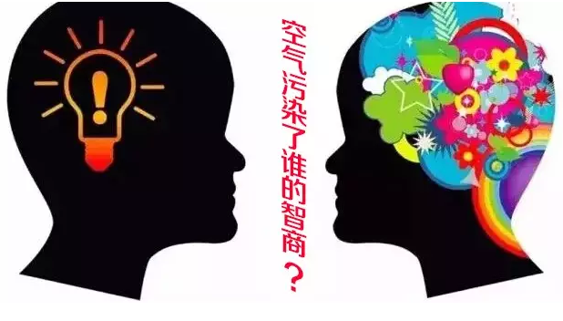 空氣污染會(huì)影響智商？ What？